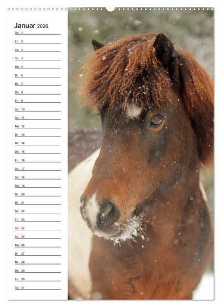 Produktbild: Isl&auml;nder im Portrait (hochwertiger Premium Wandkalender 2026 DIN A2 hoch), Kunstdruck in Hochglanz