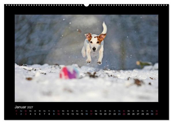 Produktbild: MIXlinge (hochwertiger Premium Wandkalender 2027 DIN A2 quer), Kunstdruck in Hochglanz
