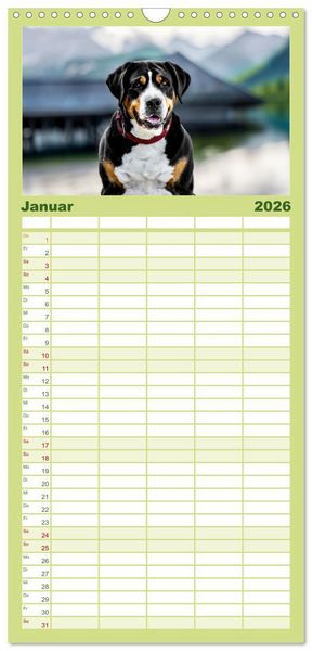 Produktbild: Familienplaner 2026 - Gro&szlig;e Schweizer - Gigantische Sennenhunde mit 5 Spalten (Wandkalender, 21 x 45 cm) CALVENDO
