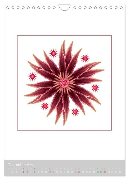 Produktbild: Pflanzen - Mandalas aus Bl&uuml;ten und Bl&auml;ttern (Wandkalender 2026 DIN A4 hoch), CALVENDO Monatskalender