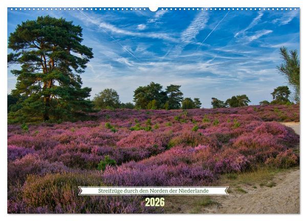Produktbild: Streifz&uuml;ge durch den Norden der Niederlande (Wandkalender 2026 DIN A2 quer), CALVENDO Monatskalender