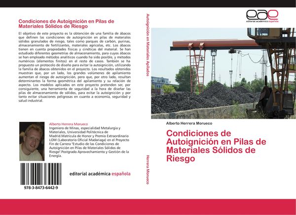 Produktbild: Condiciones de Autoignici&oacute;n en Pilas de Materiales S&oacute;lidos de Riesgo