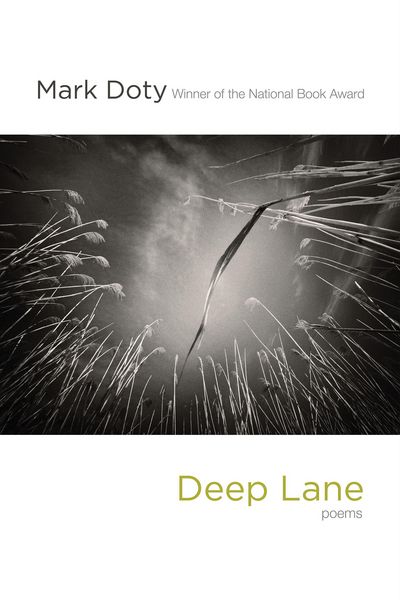 Produktbild: Deep Lane