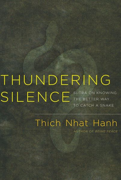 Produktbild: Thundering Silence