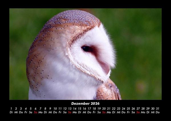 Produktbild: Vogelparadies 2026 Fotokalender DIN A3