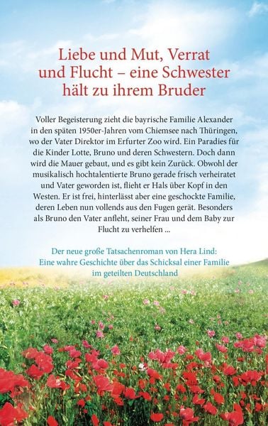 Produktbild: &Uuml;ber alle Grenzen