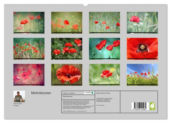 Produktbild: Mohnblumen (hochwertiger Premium Wandkalender 2026 DIN A2 quer), Kunstdruck in Hochglanz