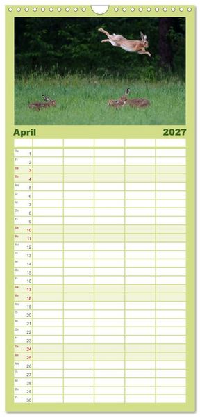 Produktbild: Familienplaner 2027 - Feldhasen in H&ouml;chstform mit 5 Spalten (Wandkalender, 21 x 45 cm) CALVENDO