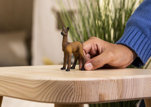 Produktbild: schleich&reg; 14890 Lama Fohlen