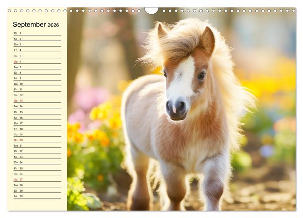 Produktbild: Kleine Pferde. Mini-Ponys zum verlieben (Wandkalender 2026 DIN A3 quer), CALVENDO Monatskalender
