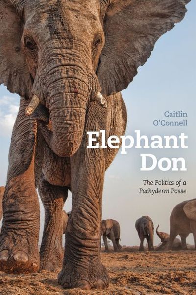 Produktbild: Elephant Don