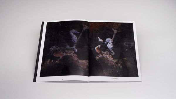 Produktbild: Aline Schwibbe &ndash; Now It&rsquo;s Dark