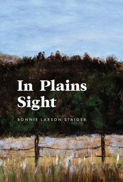 Produktbild: In Plains Sight