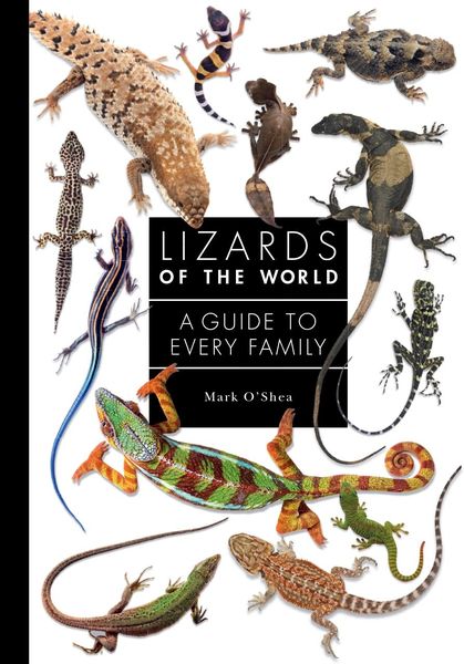 Produktbild: Lizards of the World