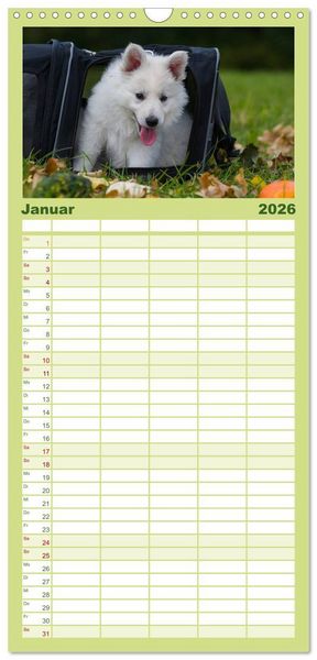 Produktbild: Familienplaner 2026 - Wei&szlig;er Schweizer Sch&auml;ferhund - Ein Tag im Leben einer Hundefamilie mit 5 Spalten (Wandkalender, 21 x 45 cm) CALVENDO