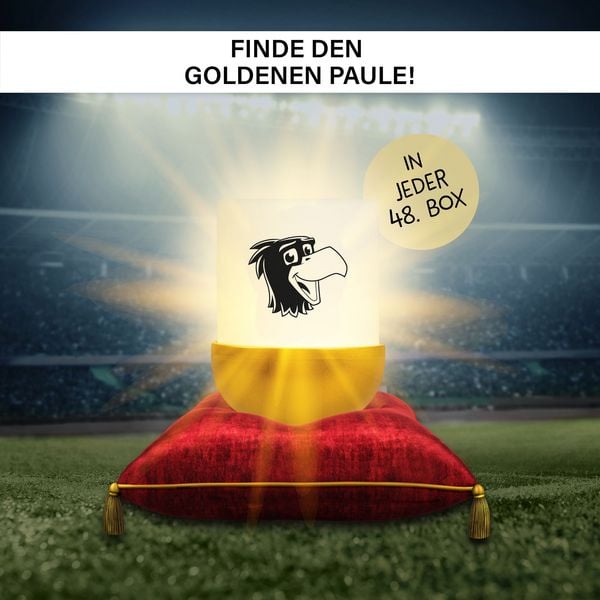 Produktbild: Eggys Mystery Lights x DFB Akku Nachtlicht Sammelbox mit praktischem Anh&auml;nger