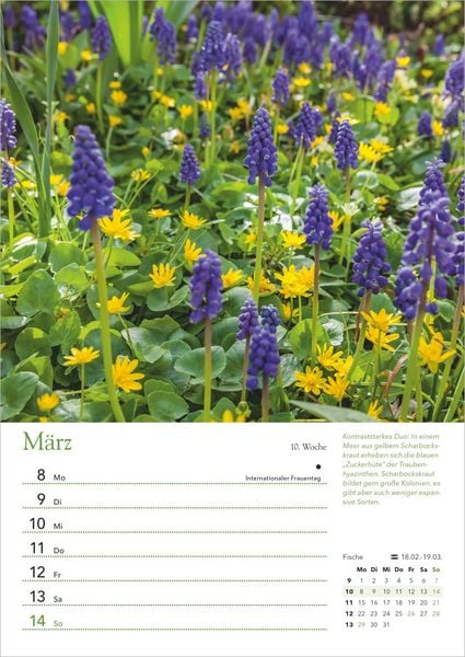 Produktbild: Ein Jahr in meinem Garten 2027