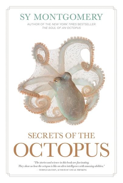 Produktbild: Secrets of the Octopus