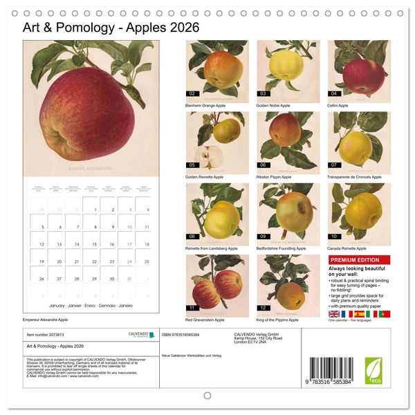 Produktbild: Art & Pomology - Apples 2026 (Wall Calendar 2026 12 &times; 12 Inch) CALVENDO 12 Month Wall Calendar