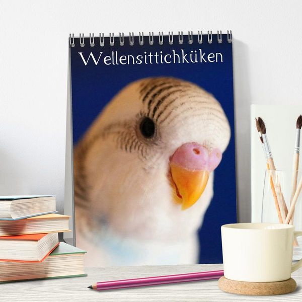 Produktbild: Wellensittichk&uuml;ken (Tischkalender 2026 DIN A5 hoch), CALVENDO Monatskalender