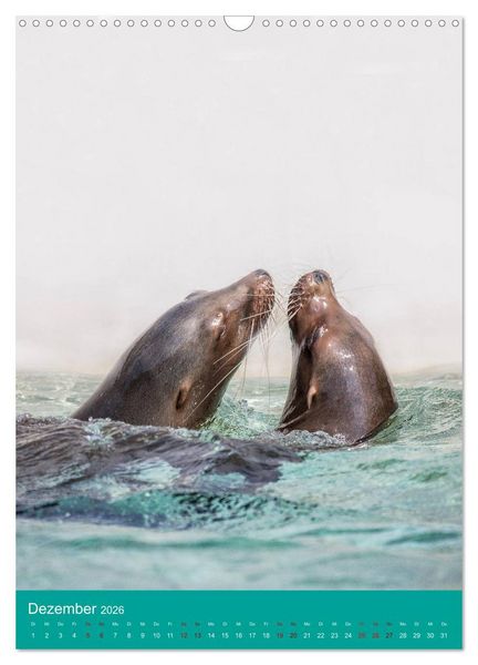 Produktbild: Portraits of Animals (Wandkalender 2026 DIN A3 hoch), CALVENDO Monatskalender