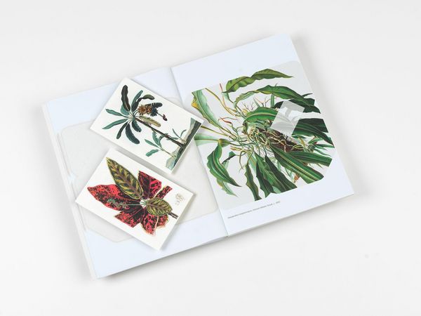 Produktbild: Natural History