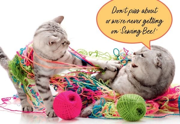 Produktbild: Sweary Cats