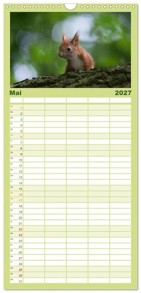 Produktbild: Familienplaner 2027 - Mit dem Eichh&ouml;rnchen durchs Jahr mit 5 Spalten (Wandkalender, 21 x 45 cm) CALVENDO
