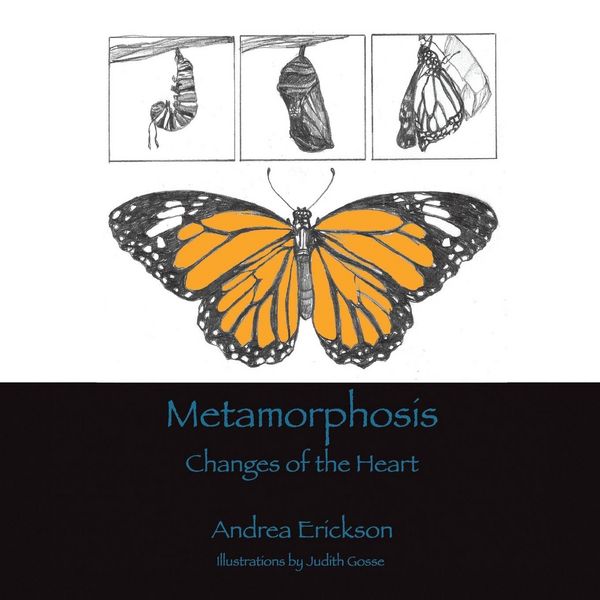 Produktbild: Metamorphosis