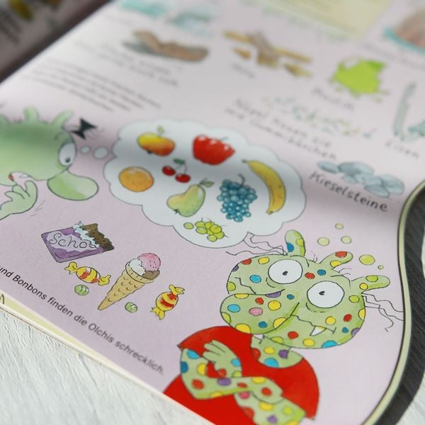 Produktbild: Hier sind die Olchis