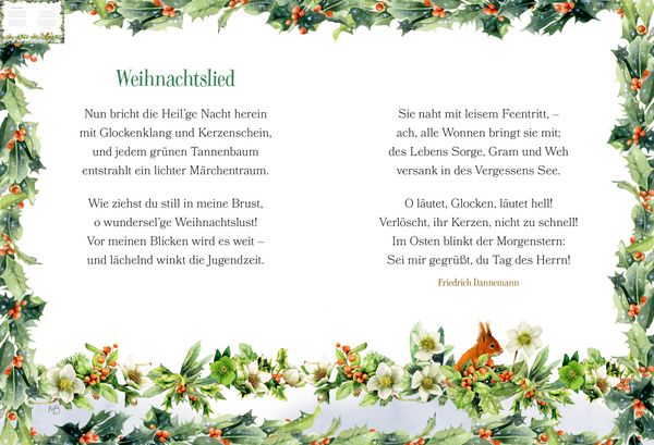 Produktbild: Und wir sehen schon den Stern