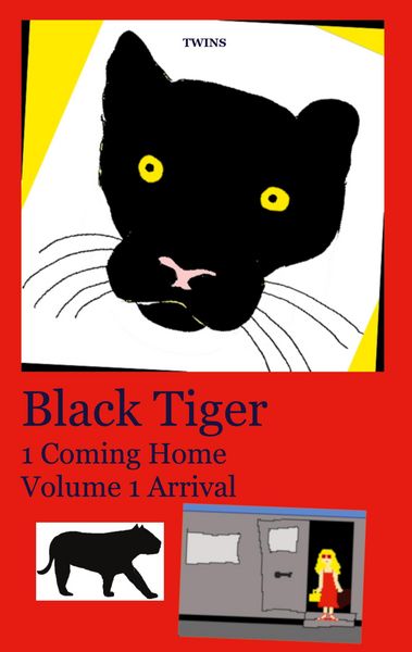 Produktbild: Black Tiger 1 Coming Home