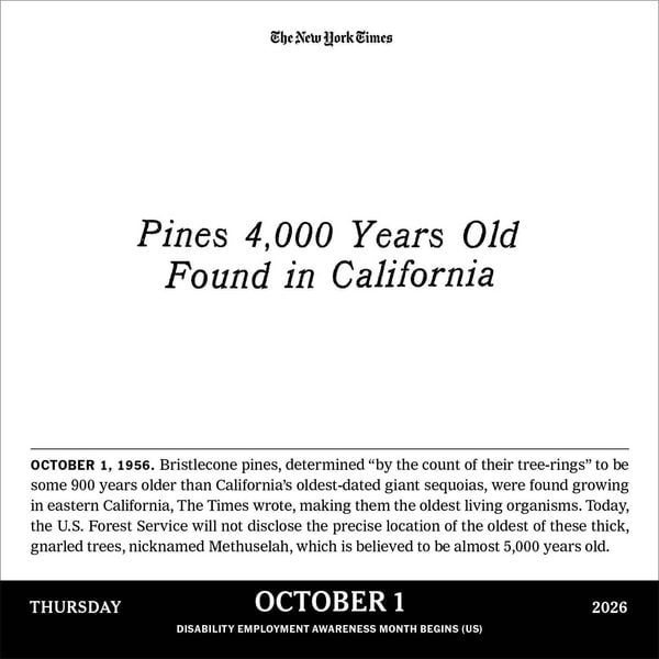 Produktbild: New York Times Headlines in History Page-A-Day(r) Calendar 2026