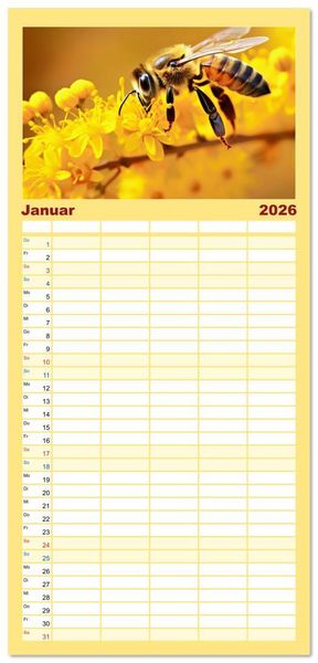 Produktbild: Familienplaner 2026 - HONIG - fl&uuml;ssiges Gold mit 5 Spalten (Wandkalender, 21 x 45 cm) CALVENDO