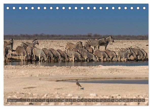 Produktbild: ETOSHA &ndash; Namibia Highlights (Tischkalender 2026 DIN A5 quer), CALVENDO Monatskalender