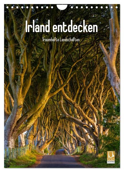 Produktbild: Irland entdecken (Wandkalender 2026 DIN A4 hoch), CALVENDO Monatskalender