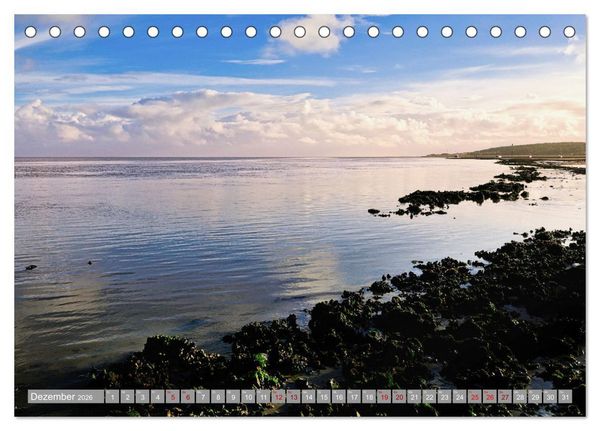 Produktbild: Vlieland Perle an der Nordsee (Tischkalender 2026 DIN A5 quer), CALVENDO Monatskalender