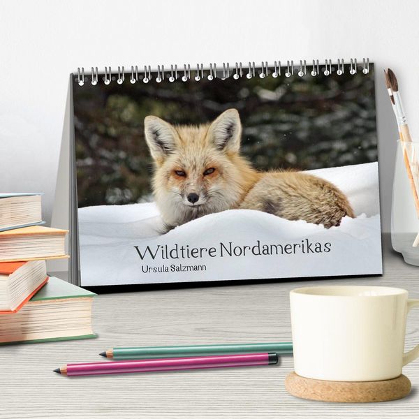 Produktbild: Wildtiere Nordamerikas (Tischkalender 2026 DIN A5 quer), CALVENDO Monatskalender