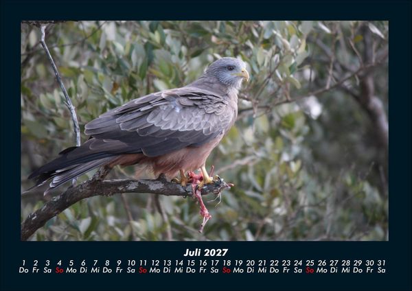 Produktbild: Vogelparadies 2027 Fotokalender DIN A4