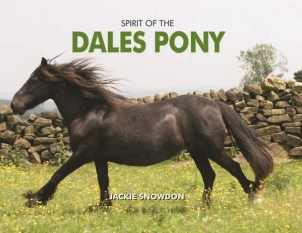Produktbild: Spirit of the Dales Pony