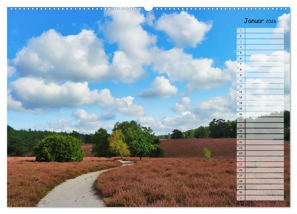 Produktbild: Heidespaziergang (Wandkalender 2026 DIN A2 quer), CALVENDO Monatskalender