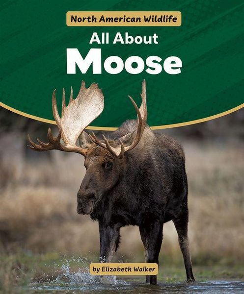 Produktbild: All about Moose