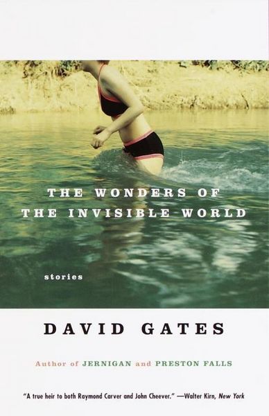 Produktbild: The Wonders of the Invisible World
