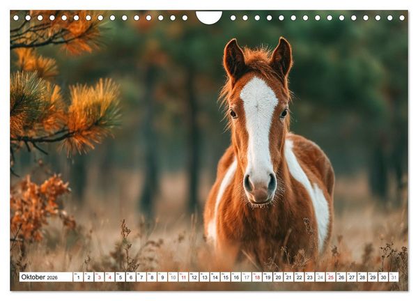 Produktbild: Pferde in freier Natur (Wandkalender 2026 DIN A4 quer), CALVENDO Monatskalender