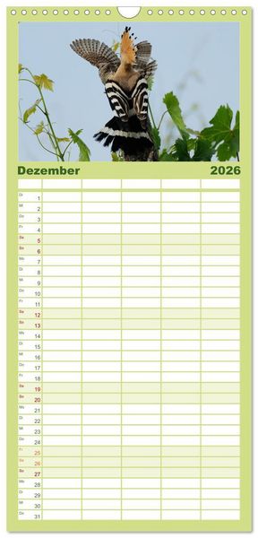 Produktbild: Familienplaner 2026 - Der Wiedehopf mit 5 Spalten (Wandkalender, 21 x 45 cm) CALVENDO