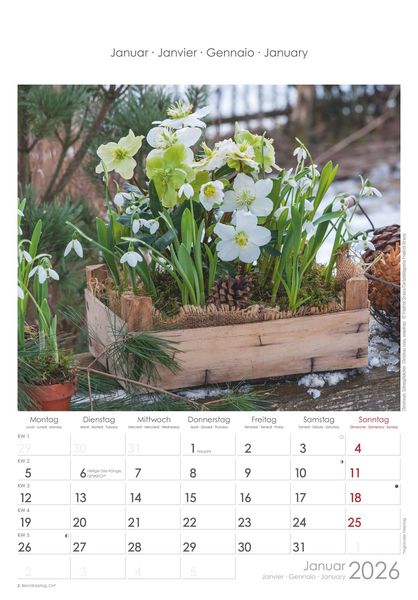 Blumen 2026 - Bildkalender 23,7x34 cm - Kalender mit Platz für Notizen - mit vielen Zusatzinformationen - Wandkalender - Blumenkalender