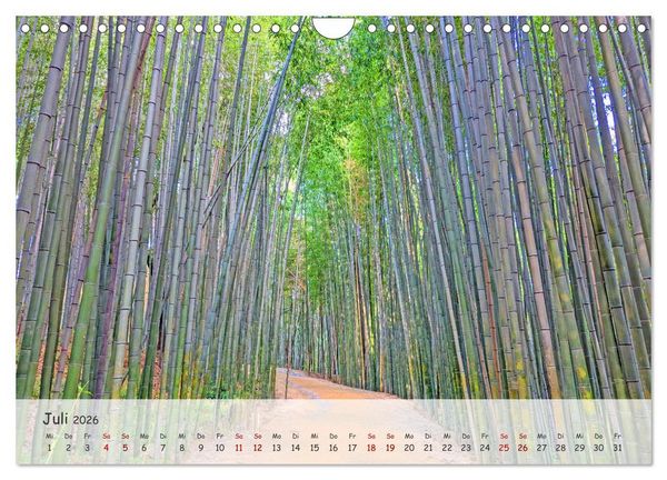 Produktbild: Zauberhaftes S&uuml;dkorea Landschaften, St&auml;dte und Kultur (Wandkalender 2026 DIN A4 quer), CALVENDO Monatskalender