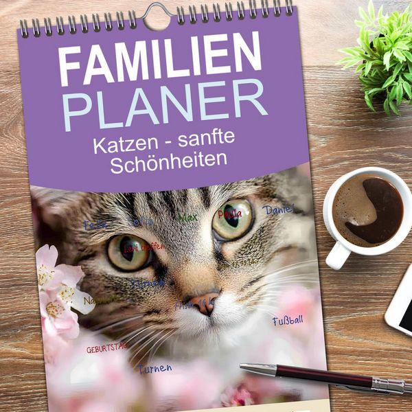 Produktbild: Familienplaner 2026 - Katzen - sanfte Sch&ouml;nheiten mit 5 Spalten (Wandkalender, 21 x 45 cm) CALVENDO