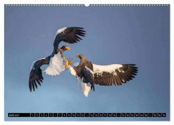 Produktbild: Japanische Vogelwelt im Winter (hochwertiger Premium Wandkalender 2027 DIN A2 quer), Kunstdruck in Hochglanz
