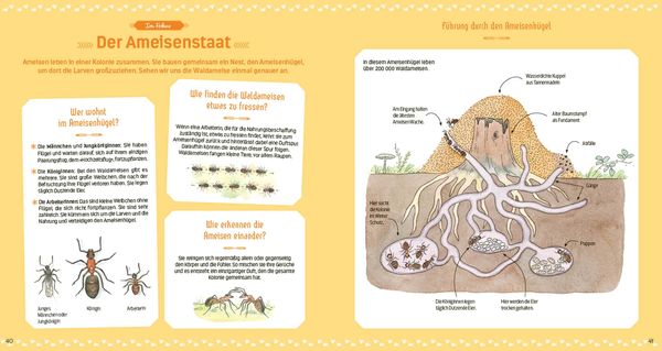 Produktbild: Das gro&szlig;e Buch der kleinen Tiere
